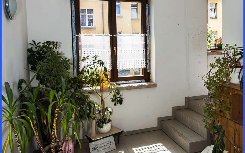 Treppenhaus Hinterhaus