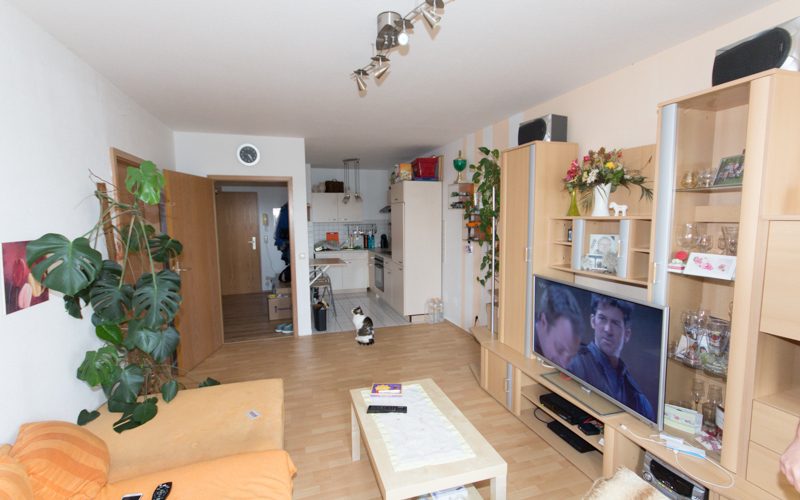 WZ mit offener Küche