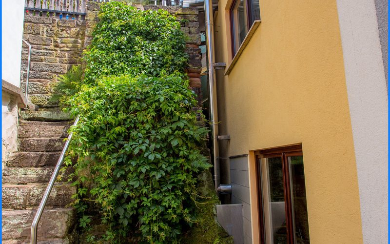Hof mit Treppe zum Garten